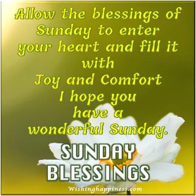 Sunday Blessings - Allow the