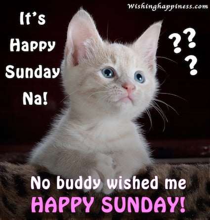 Happy Sunday Image Nine