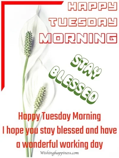 Happy Tuesday Morning One