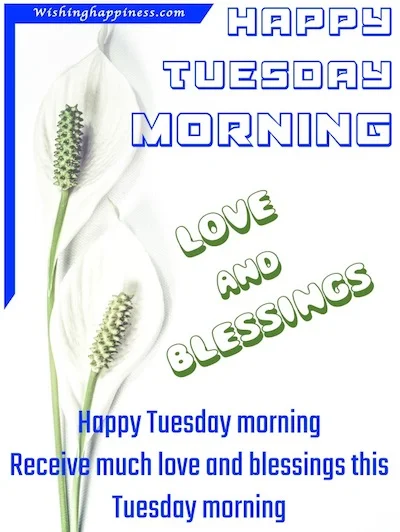 Happy Tuesday Morning Two